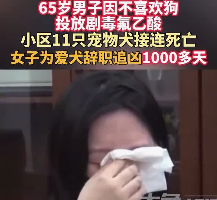 太执着了！北京一名女子因宠物狗被毒死，辞职追凶1000天！就因为同小区男