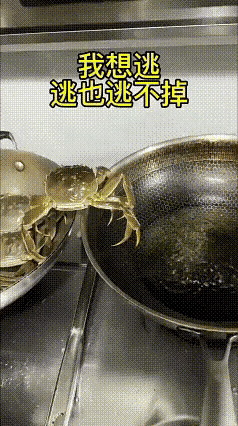 早进锅晚进锅，早晚都要进锅横竖都红[捂脸哭][捂脸哭]