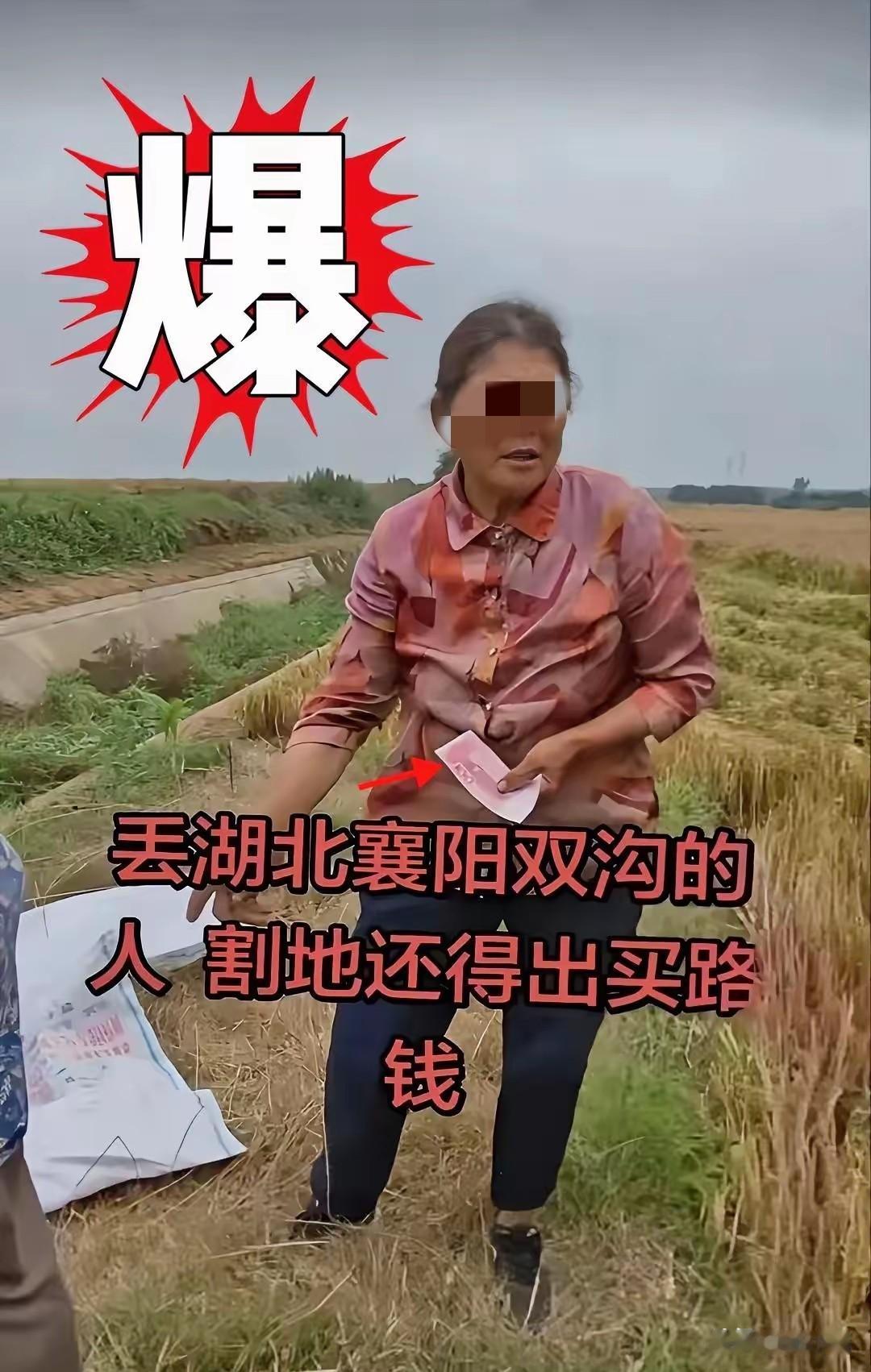 这个大妈，火🔥出圈了。不是因为她成功讹了500块，也不是因为她态度不好，而是