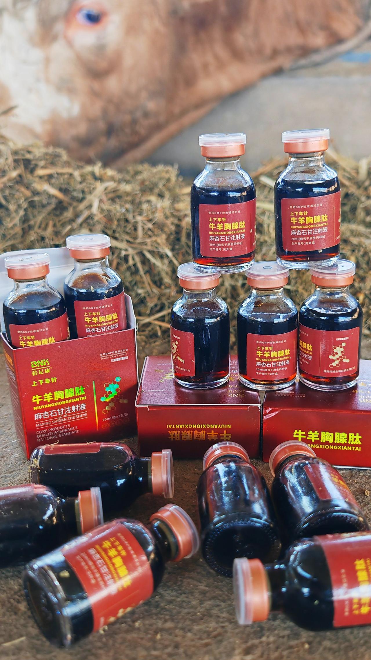 养羊人农村养羊牛羊养殖