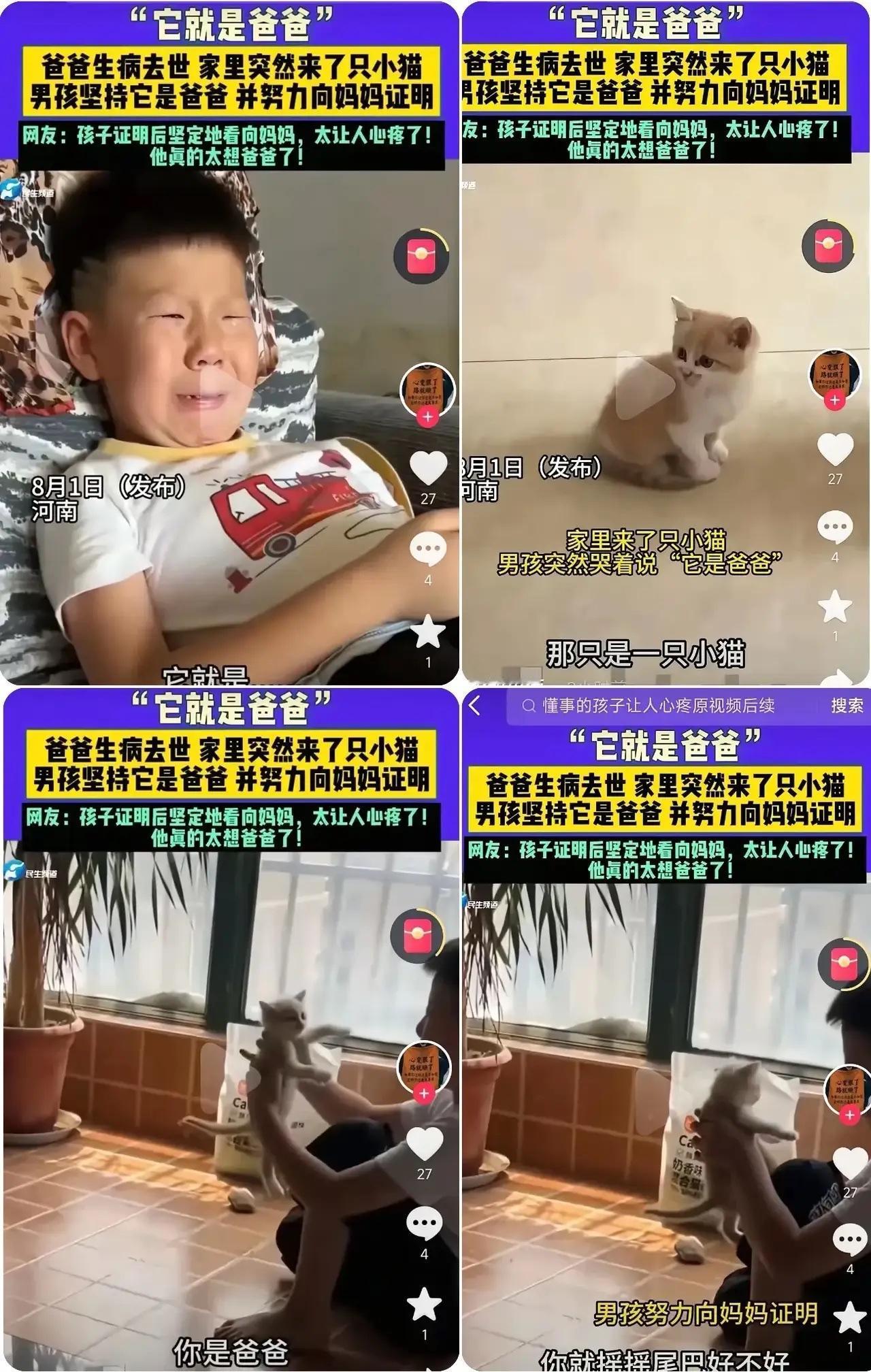 河南8岁男孩坚信家中新猫是去世三年的爸爸所变。他让猫摇尾、跳上手、握手，小猫竟一