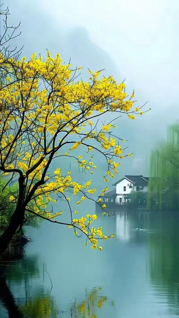 弘一法师说：“学佛不是让你出家，也不是让你变得与众不同，学佛就是一个正常生活的人