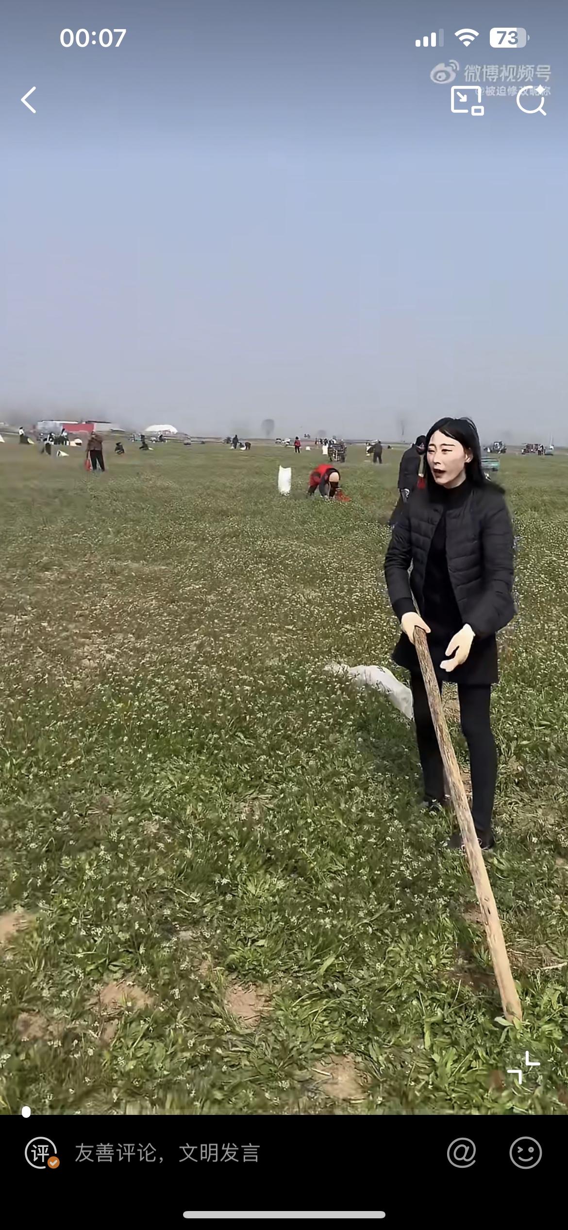 因被网友谣传为无主荒地，河南一种植户200亩荠菜被周边村民盗挖。3月12