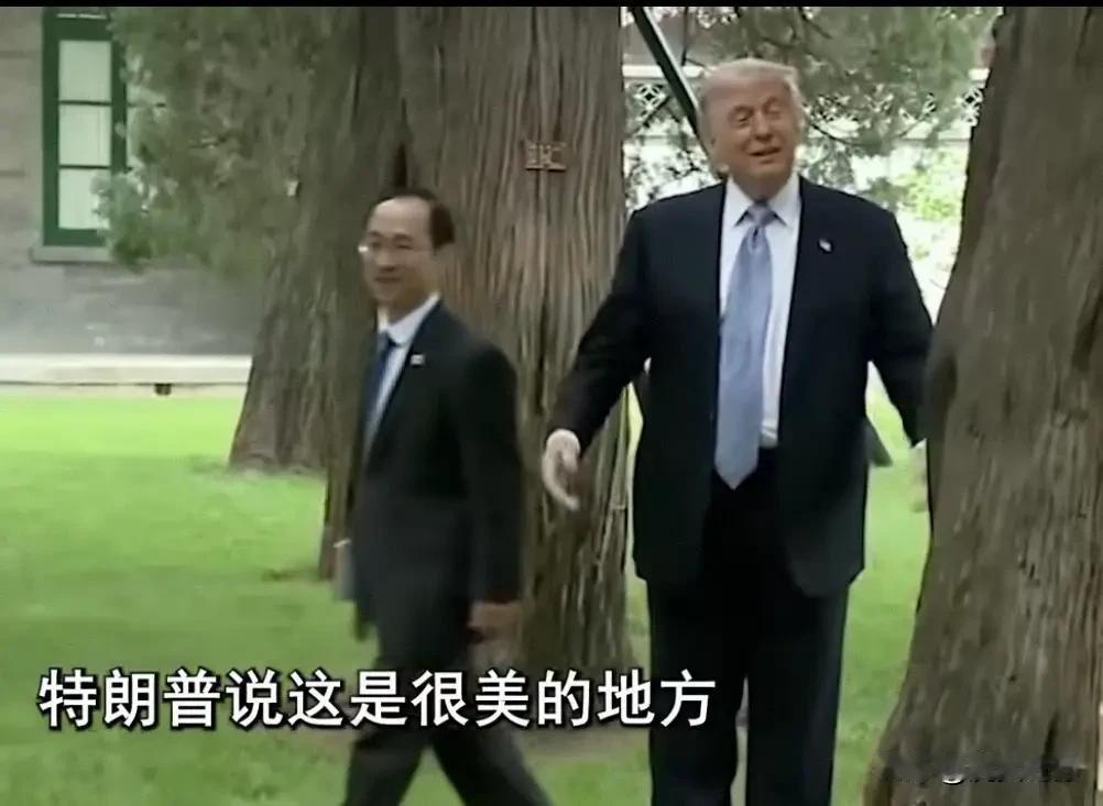 网友：川普看到古老的树，应该触景生情，内心发了感概的，人不可能跟树一样活几百上千