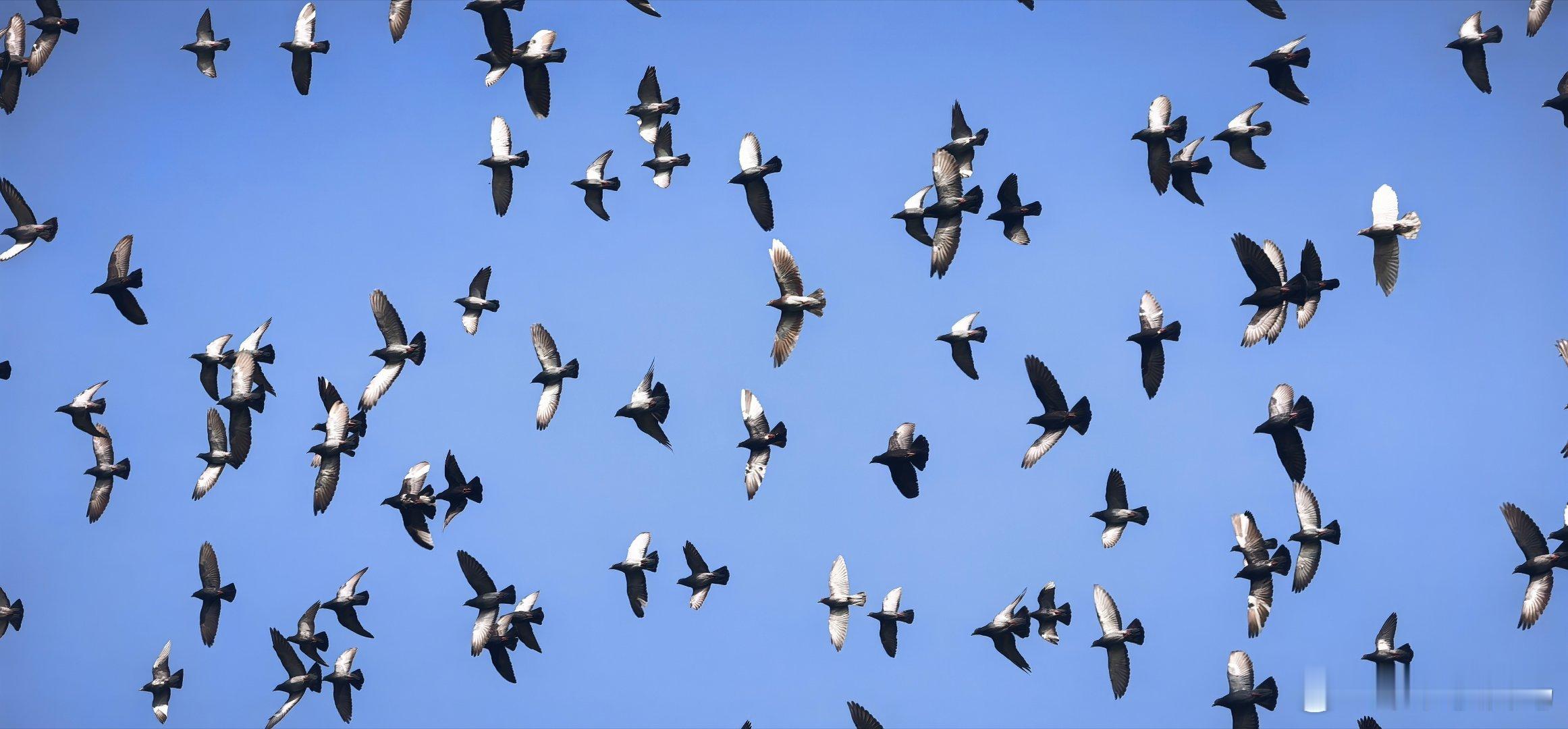 初冬了，紫竹院公园的秋色依然摄影