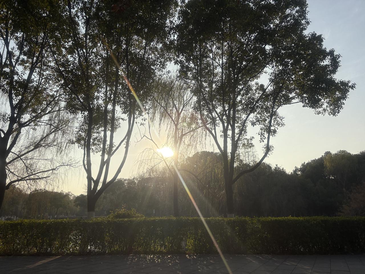 很多人担心引进外国移民来华，自己就找不到女朋友找不到好工作，因为移民会抢了好工作