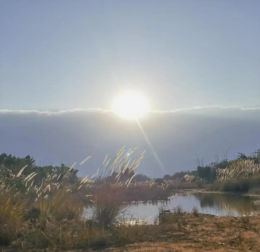 别被片名骗了，这部剧真正的主角，是那个“不太聪明”的老舅。央视收视率冲到1