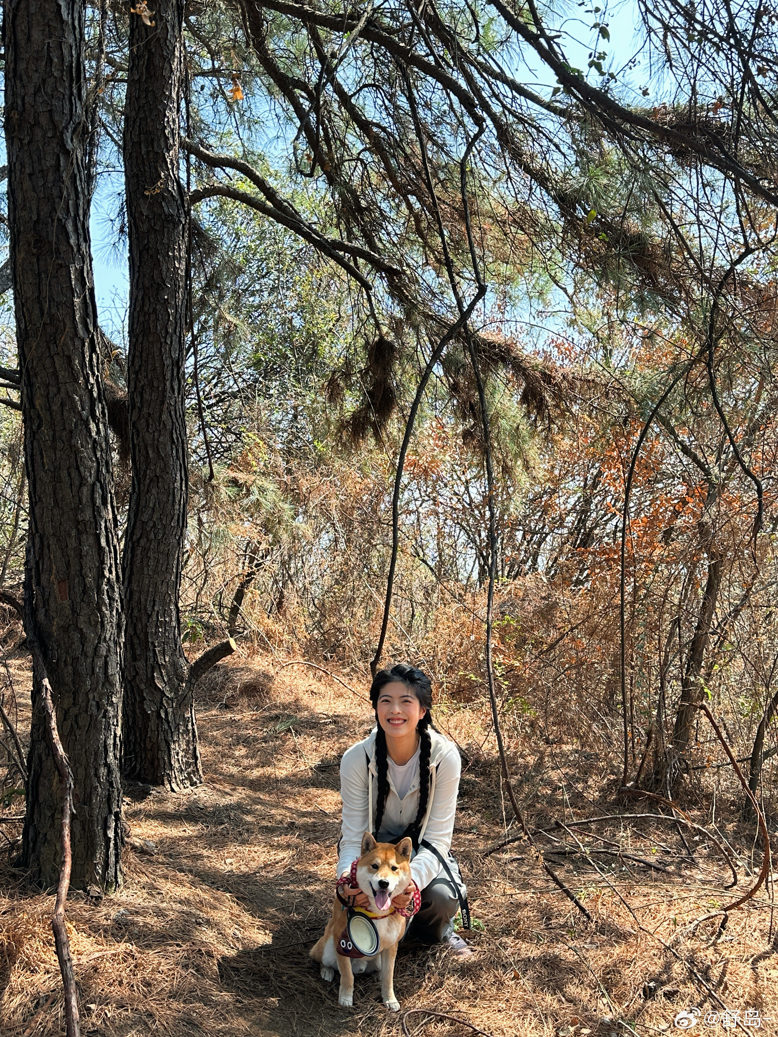 开春第一爬旺山！带汪汪咕一起爬了今年一定旺上加旺！苏州·旺山景区