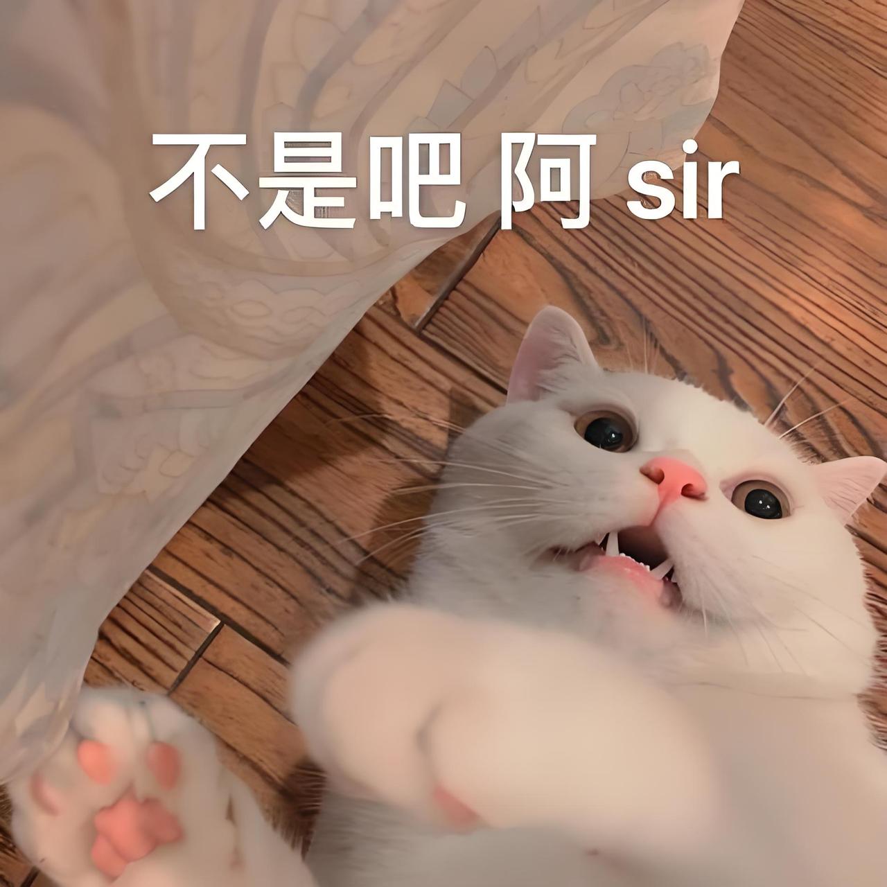 能看出字迹覆于手印之上的北宋宰相，难怪范仲淹、王安石都赏识他1079年，参知