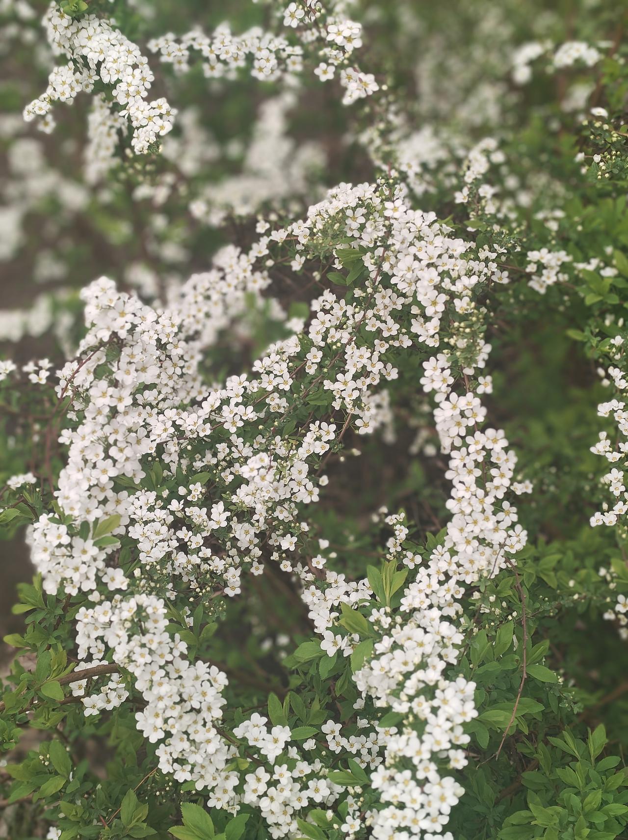 狮子座：别为烂人耗自己，后半生只为自己活狮子座这辈子，最亏的就是在感情里太