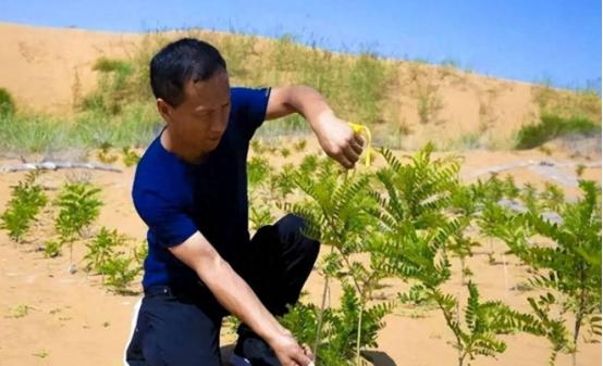 西方专家：中国不可怕，可怕的是中国人发明了塑料袋治理沙漠技术 麻烦看官老爷们