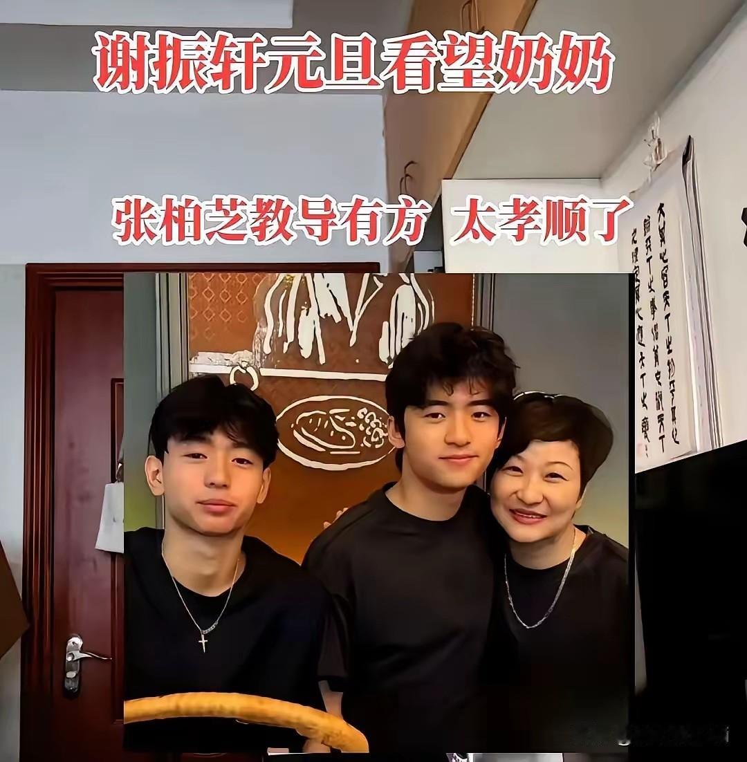 张柏芝的两个孩子，元旦那天陪着奶奶狄波拉一起过，让奶奶享受天伦之乐。这举动引发网