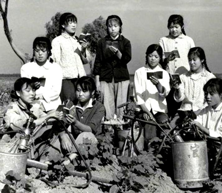 1970年，上海一位女知青悄悄诞下女婴，托付给东北老乡养育。多年后，长大成人的女