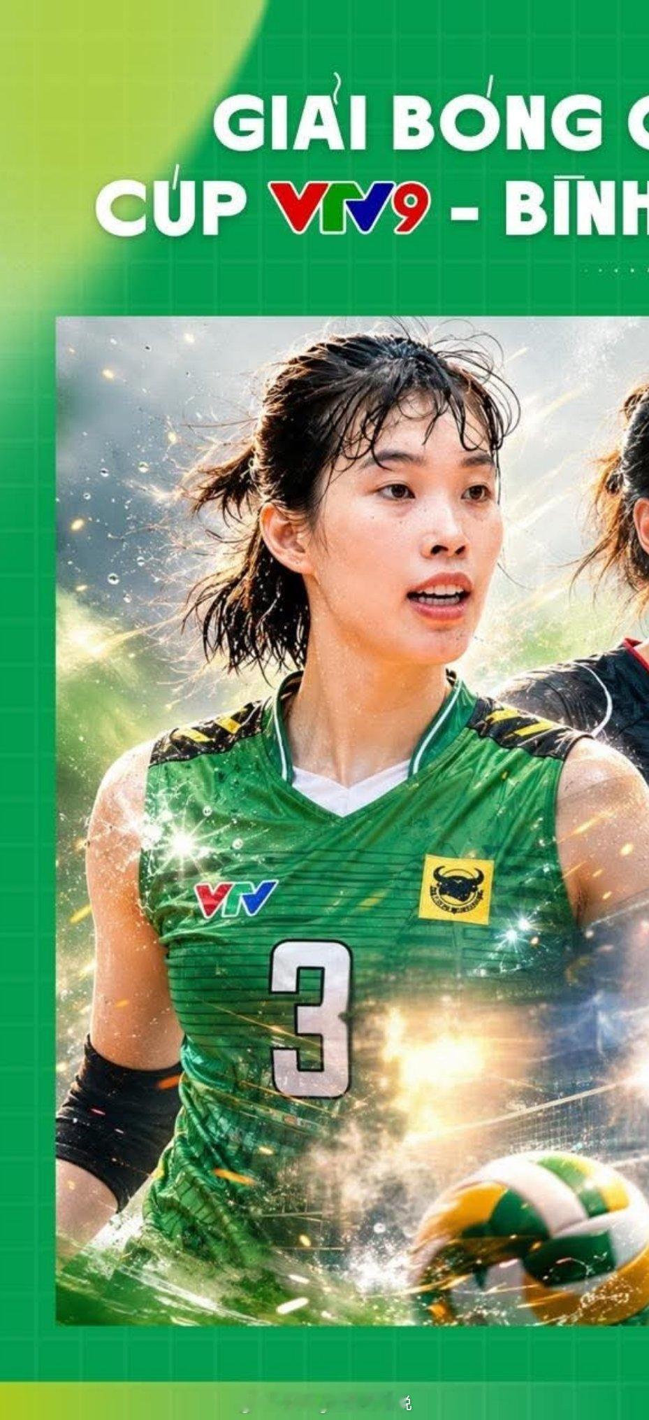 越南VTV女排邀请赛排名:冠军：江苏中天钢铁女排亚军：平奠隆安女排季军：河内汽车