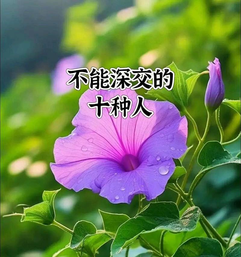 人到中年才懂：这10种人，千万不可深交，越早远离越幸福我发现