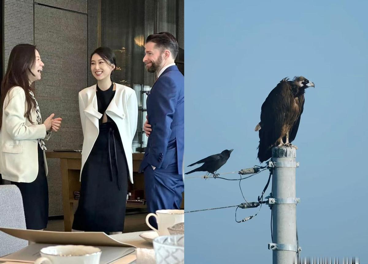 领导当众踩你面子？73%的升职快的人，第一反应是闭嘴。他们按下本能反击的冲动，