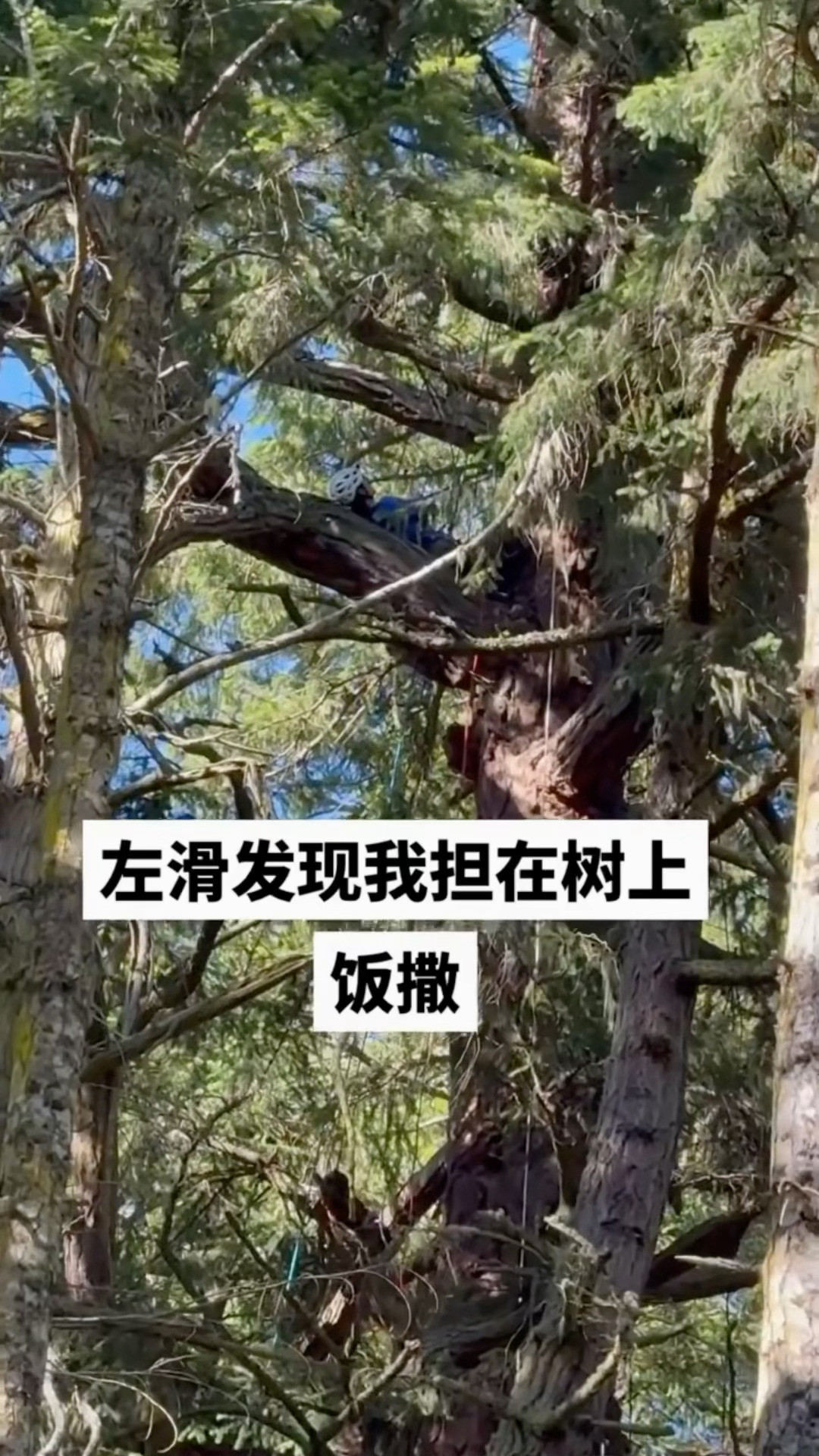 王一博躺在树上饭撒王一博躺树上也没忘了饭撒，镜头拉近我都惊呆了，这里居然还有个