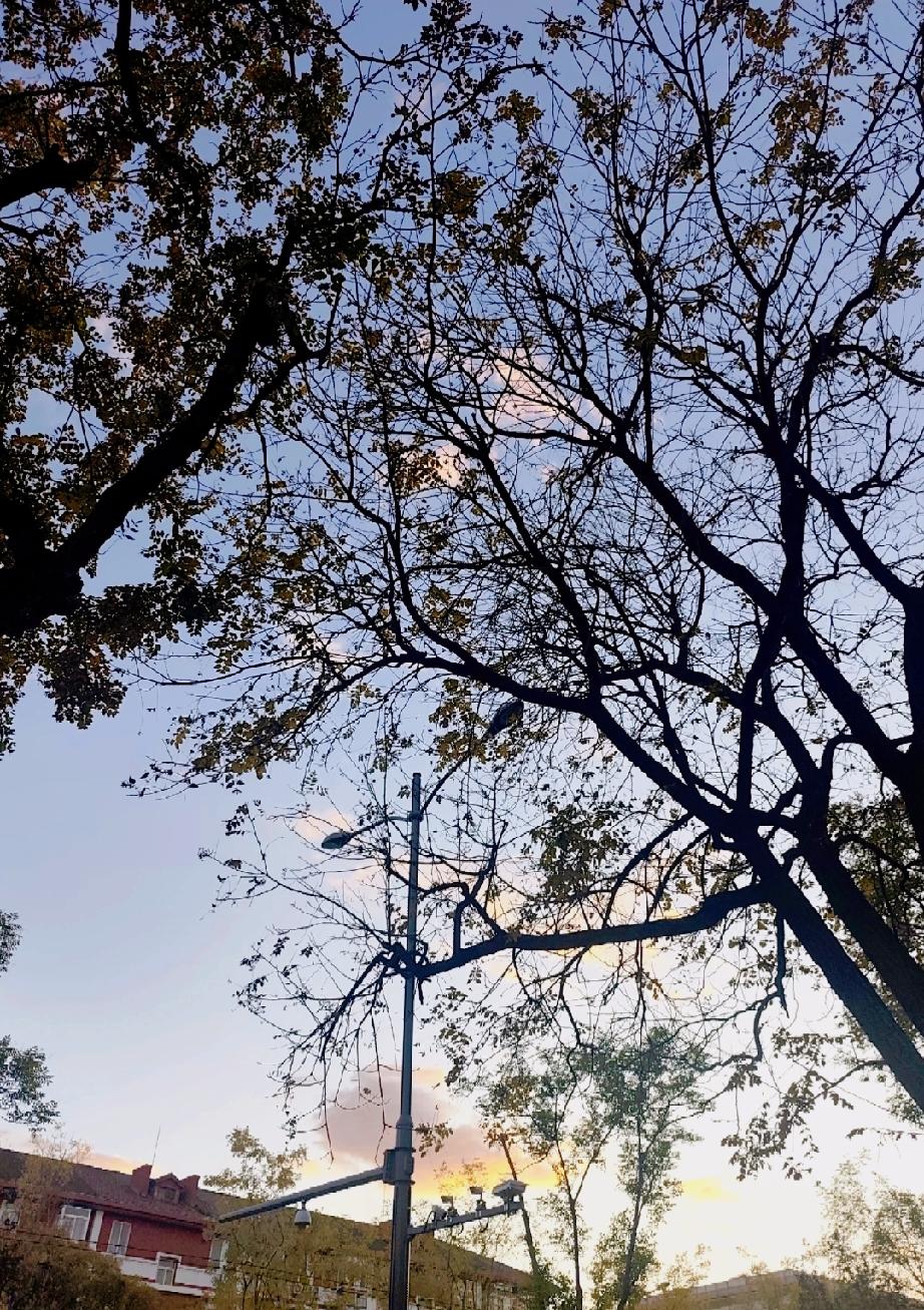 Ai时代稀缺的是什么？AI时代真正难以弥合的不平等最稀缺的不是工具，而是……。
