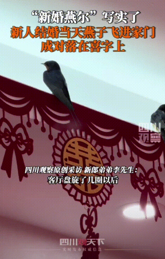 “简直令人难以置信！”在陕西西安，一对新人举办婚礼当天，刚刚完成娶亲回到家中，众