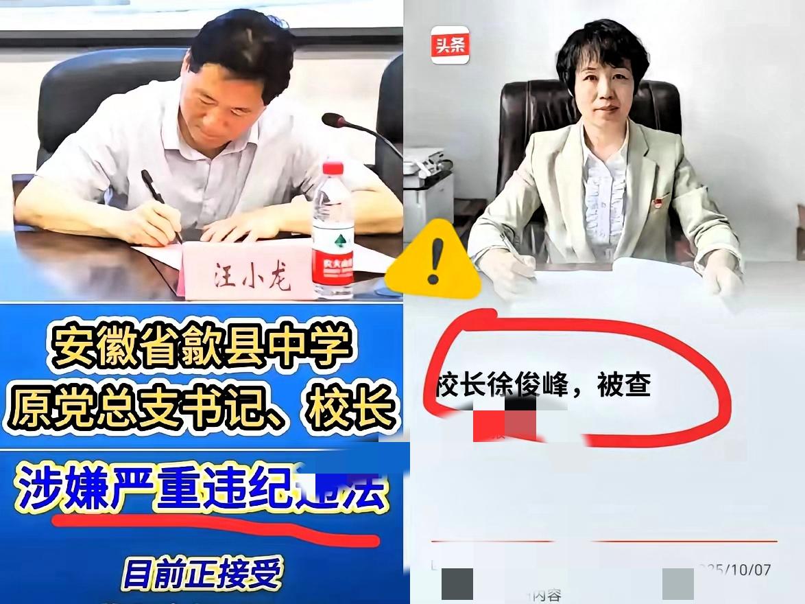 最近中小学校长集中被查，我原先也纳闷：一个中小学能有啥猫腻？直到看了那些案例，真