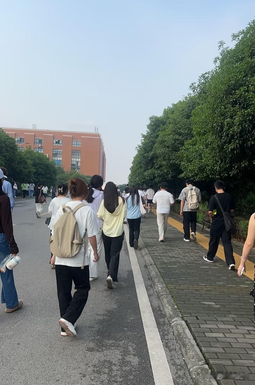 并不是每个孩子都适合当老师！老家有个同事的儿子今年高考，分数可以进华中师范大