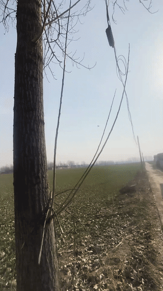 这是什么飞机？看起来有点像是“歼10”战斗机？虽然歼10作为三代机早就已经成