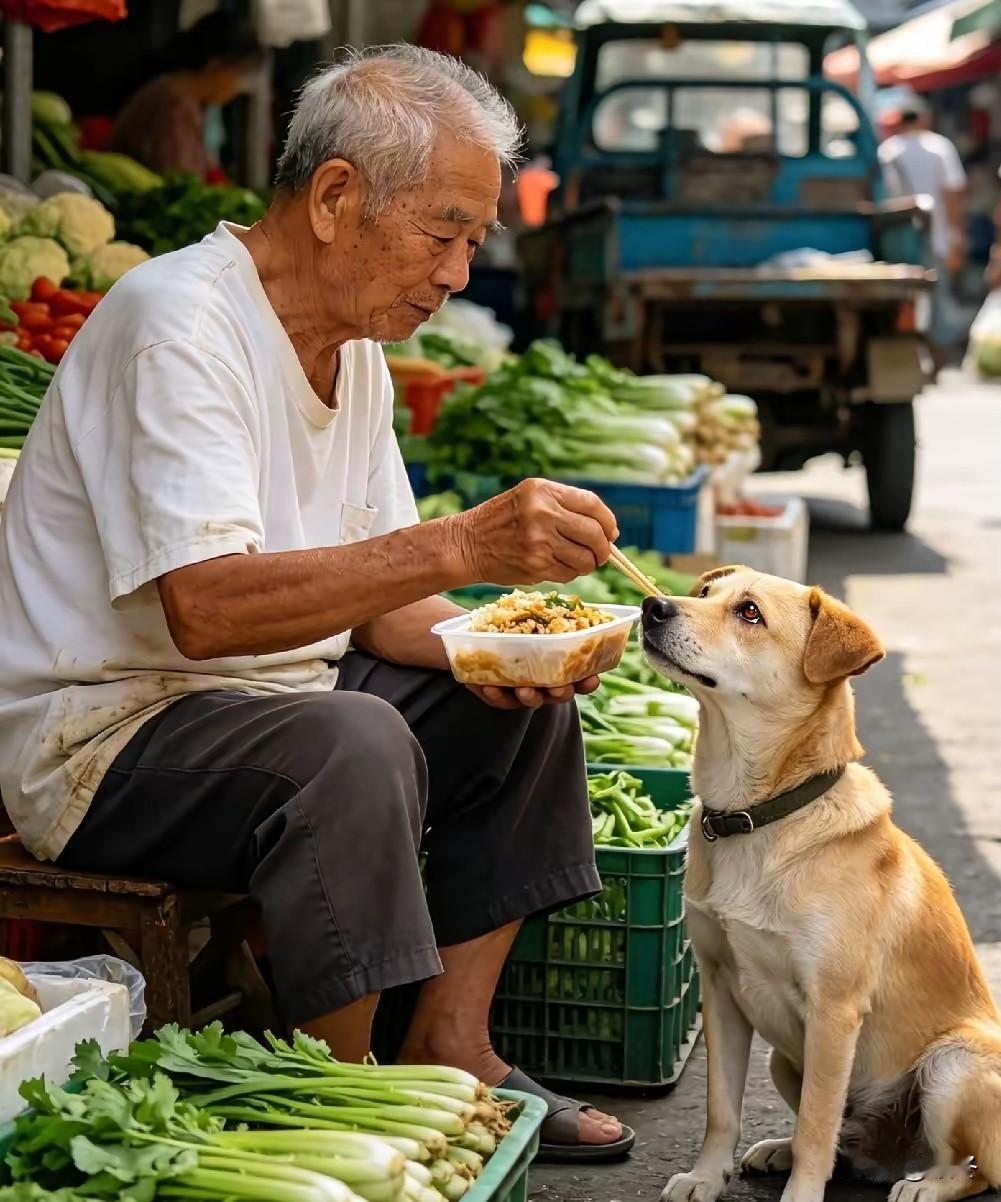 人饿着肚子也要给狗买饭，这只流浪犬的举动，狠狠打了不少人的脸面！七十七岁的独居