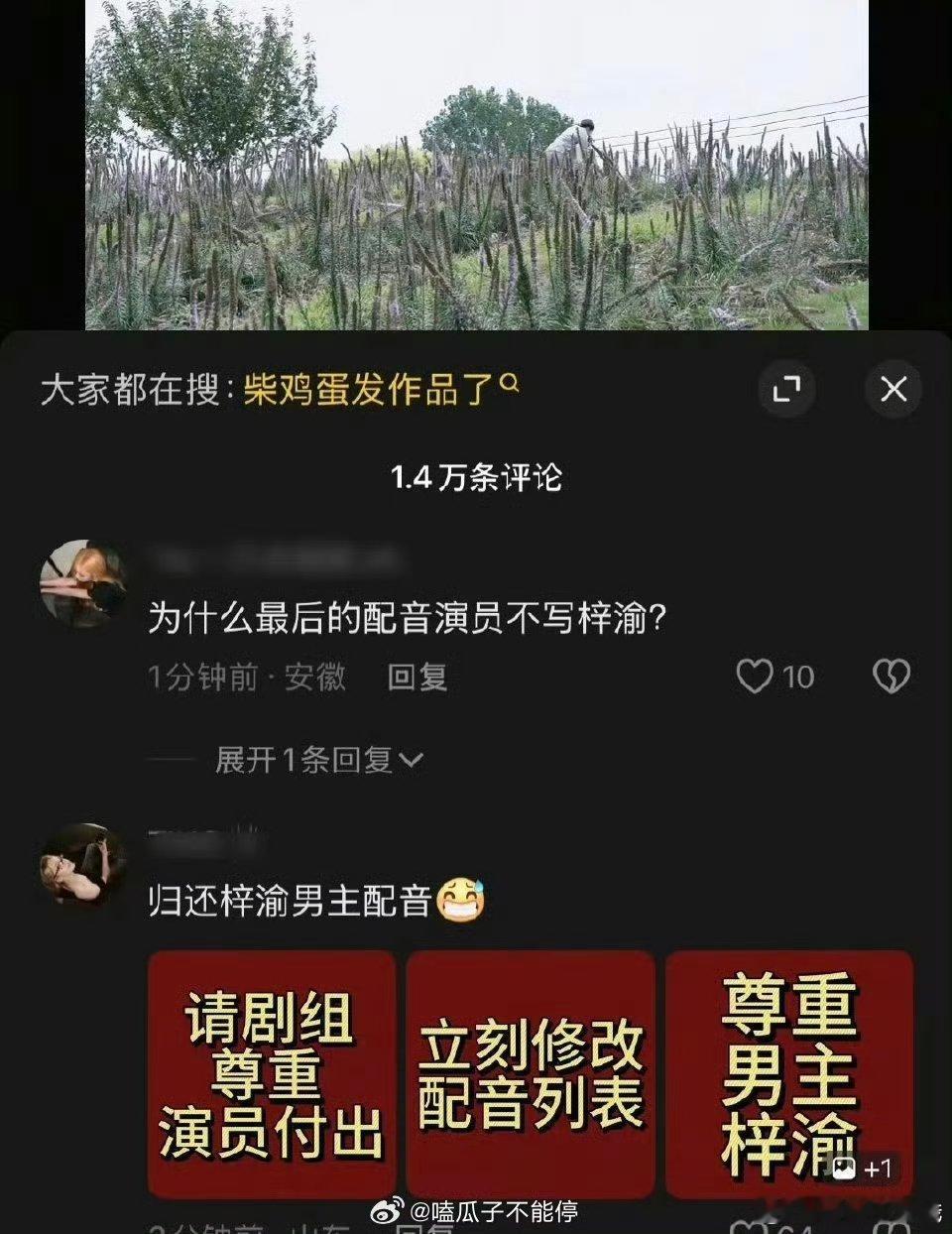 6.0大结局最后的配音演员表没有梓渝，粉丝正在维权，剧组和柴鸡蛋回应，尊重男主