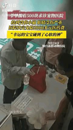 山东烟台，一位衣衫破旧的80多岁大爷抱着受伤小猫，小心询问宠物医院老板：只有50