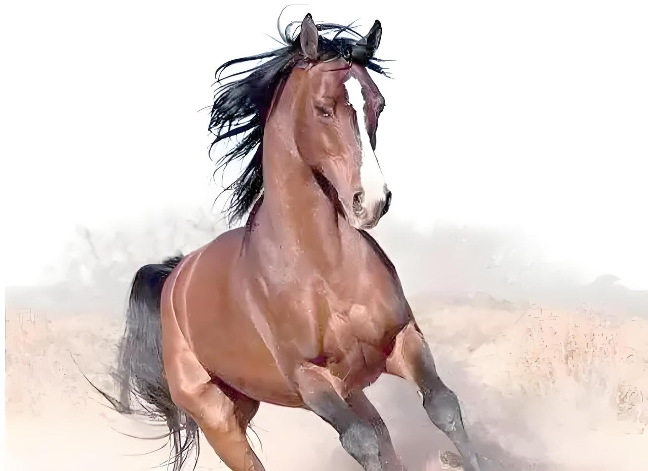 马年话的卢：一跃檀溪，千古名驹马年说马，最富传奇色彩的，莫过于三国名驹的卢