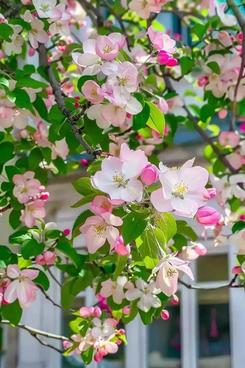 真正的温暖，从不是刻意讨好，而是藏着这三个隐性特质心理学家指出，真正的温暖并