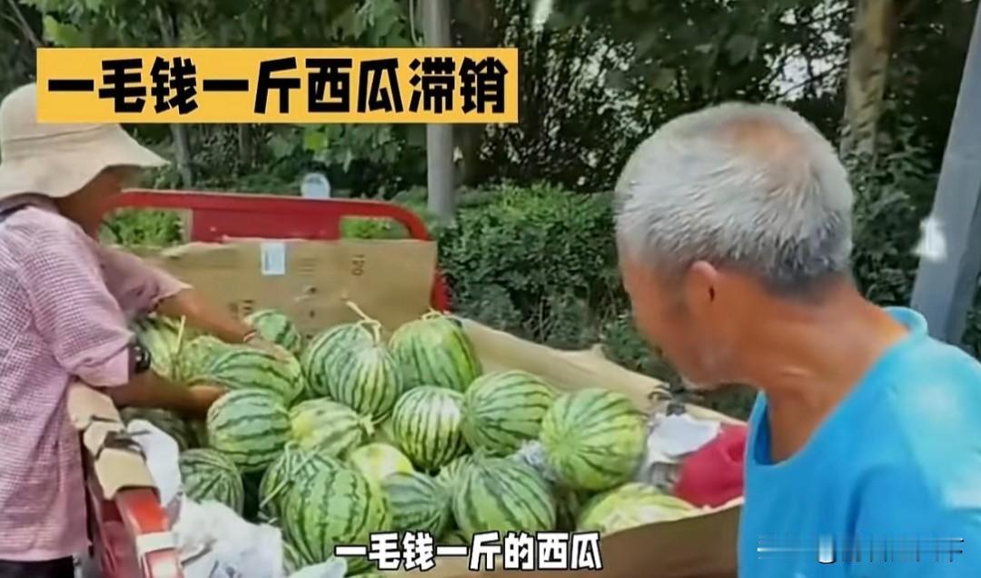 这个季节正是西瓜大量上市的时候，据说河南地头上西瓜一斤才一毛钱。露天西瓜通常一