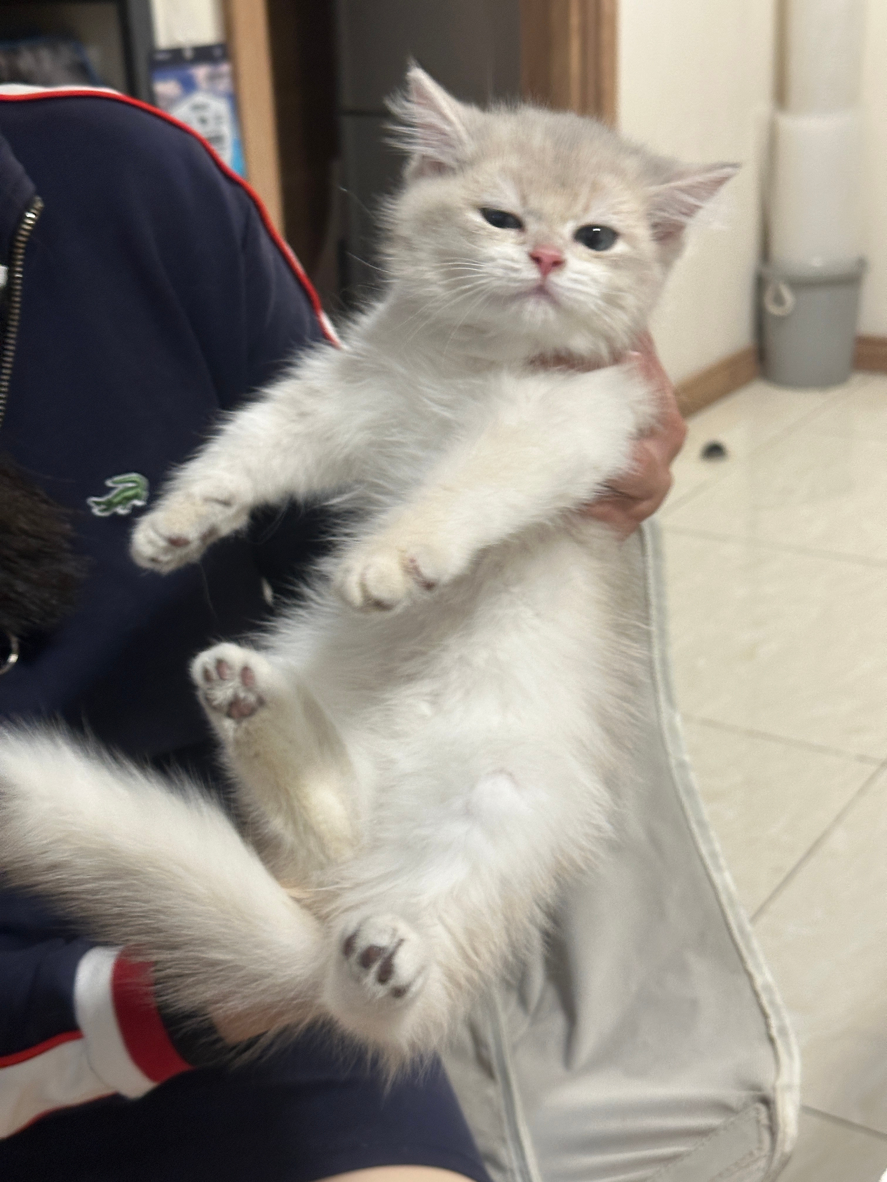 健康平安就好咯p1是第一次见面