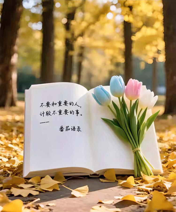 句子虽短，句句在理，惊艳到你的句子！