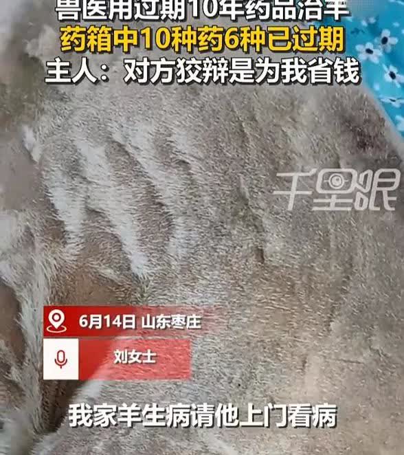 气无语了！6月14日，山东枣庄一名女子家里的羊生病了，于是请来兽医治疗，谁料一个