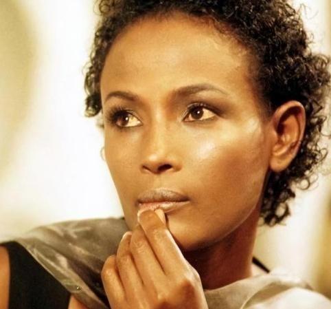 1969年，索马里，4岁的华莉丝在放羊途中被爸爸的朋友奸淫。当她惊恐地飞奔回家后