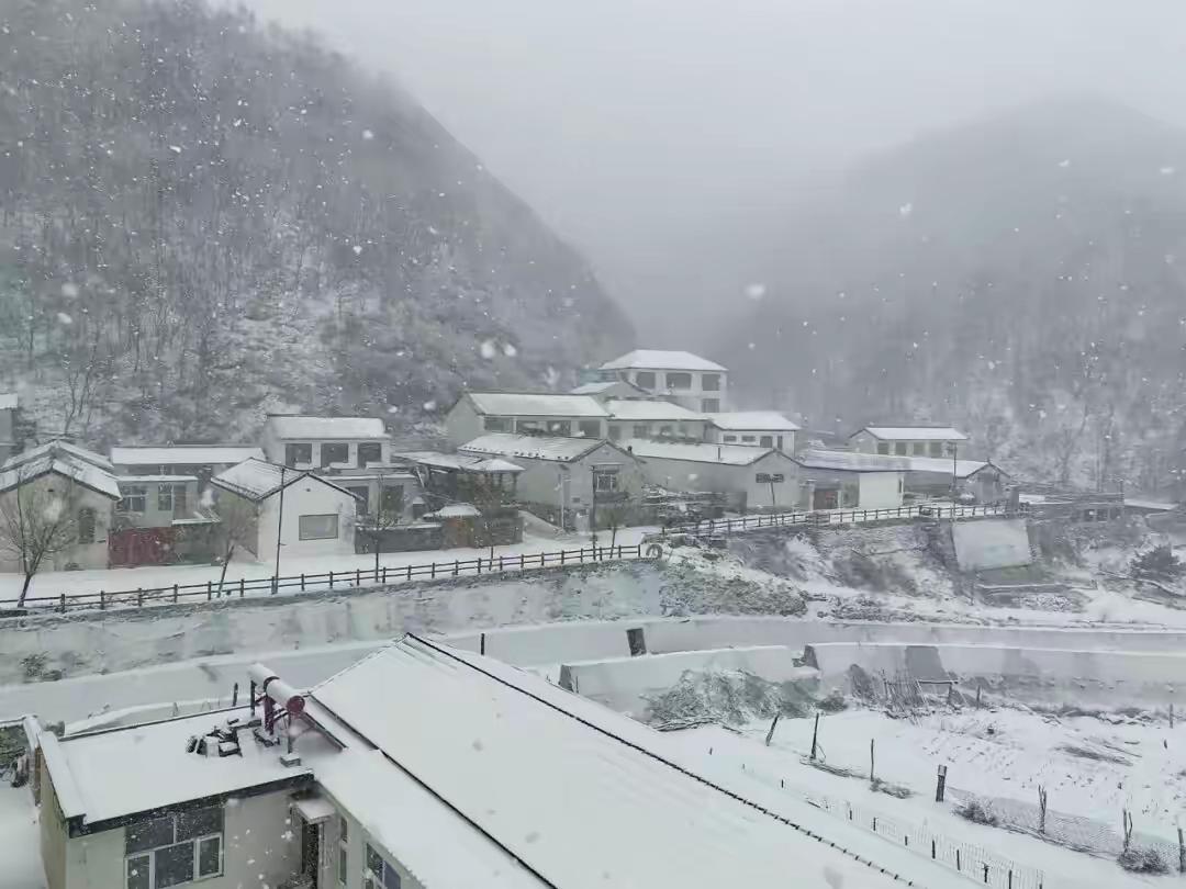 北京门头沟山区降雪！大风狂刷存在感11月24日门头沟深山区喜提降雪椴木