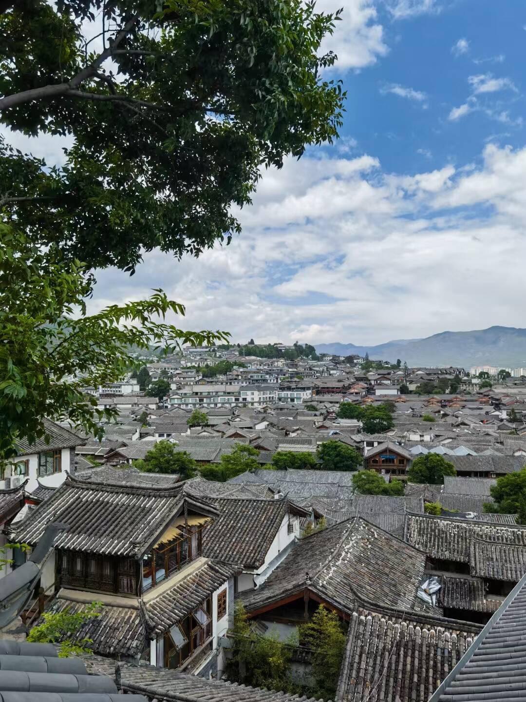 📚 按头安利这本超甜年代文！孟中得意的《实用主义者的爱情》，清醒利己...