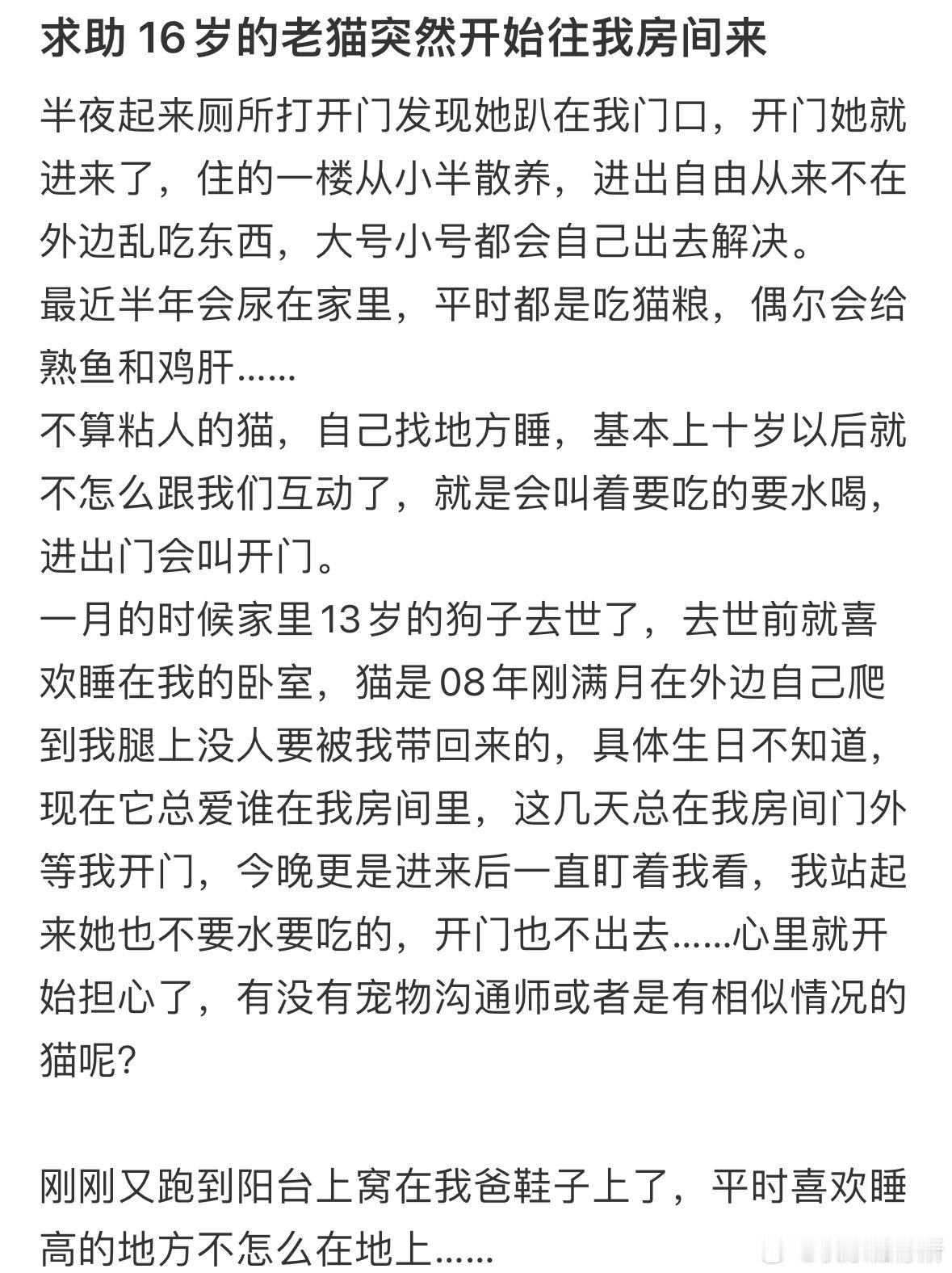 16岁的老猫突然开始往我房间来​​​