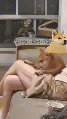 这才是真正的舔狗啊舔狗当代舔狗