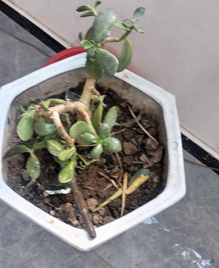 办法总比问题多。我有一个同事失业了，他既没有兼职跑外卖，也没有继续找工作，而是