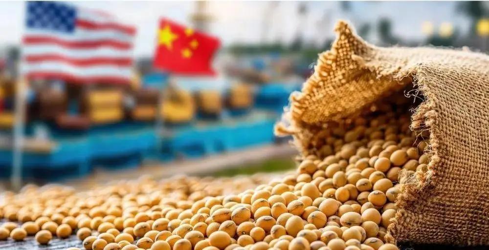 中国恢复采购美国大豆？6月30日，根据“彭博社”报道，美国农业部数据显示