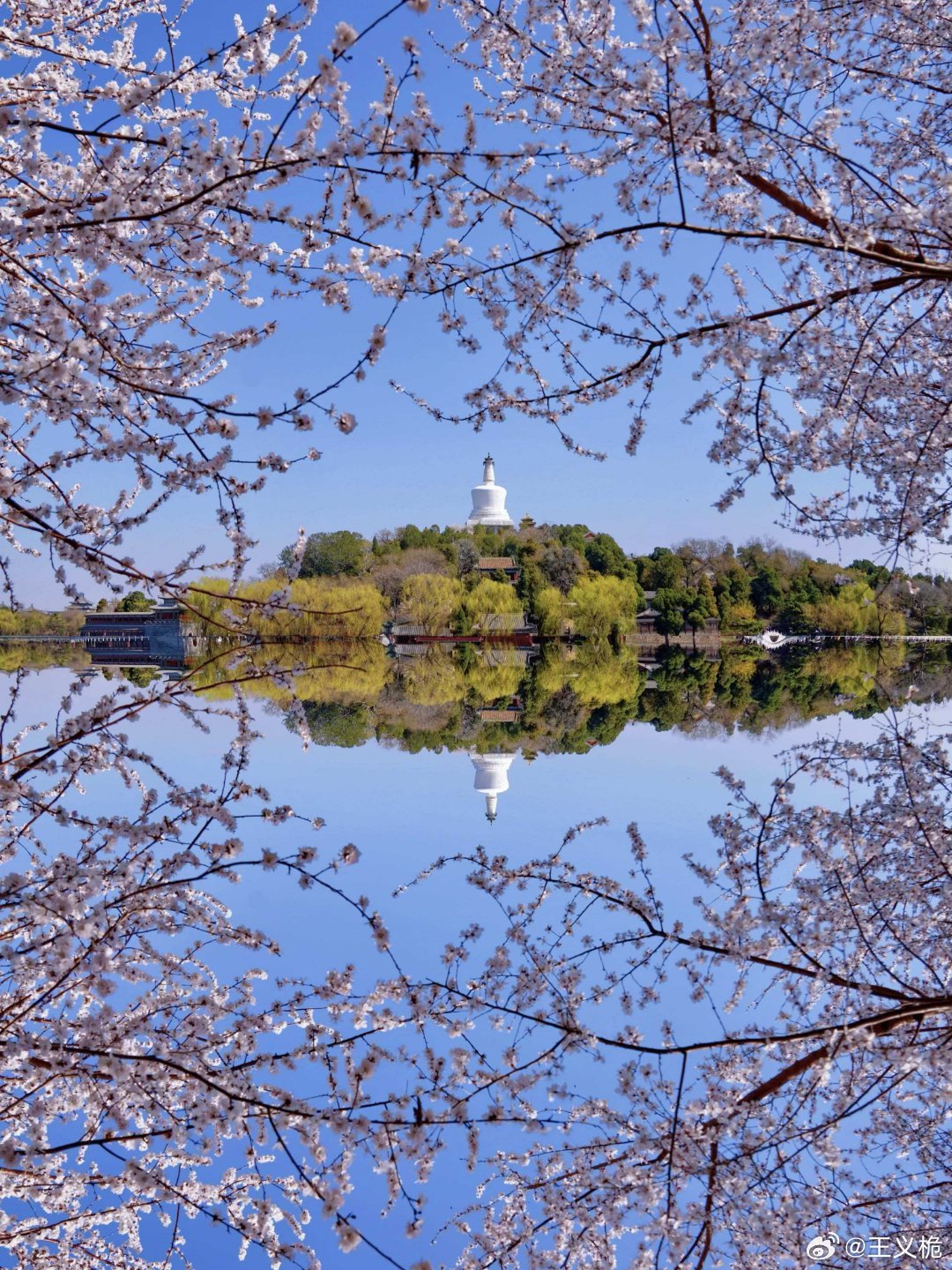 AI时代的“电力与算力”双向奔赴：从“四重错配”到“算随电优”的绿色未来