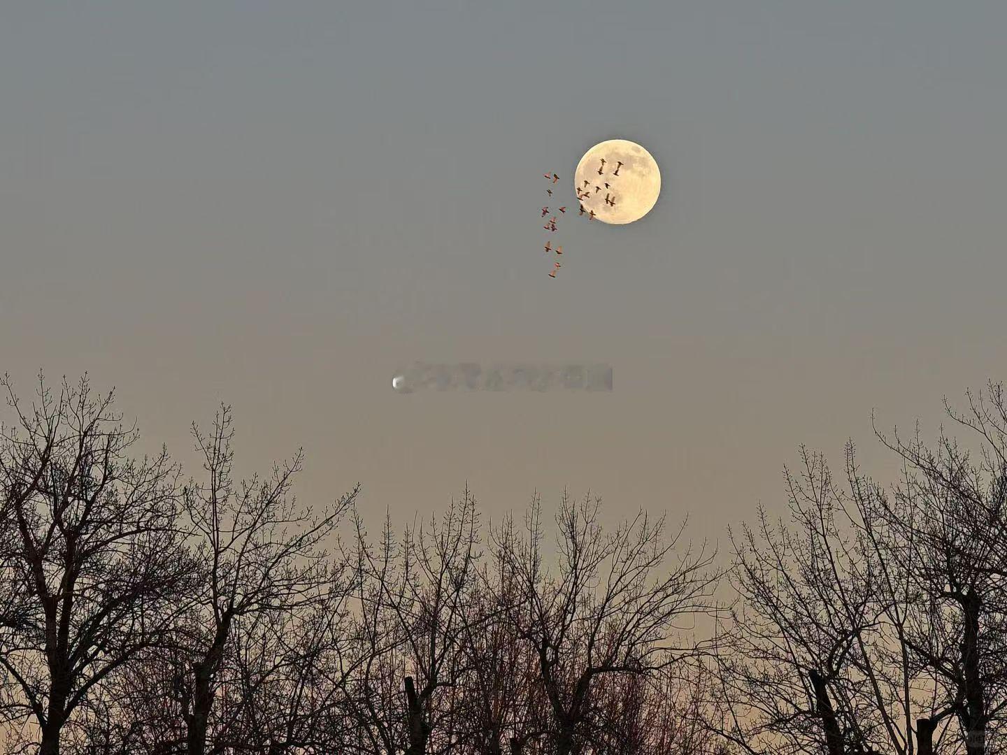 容易晚婚的男女：1、无论男女夫妻宫有克，婚姻都是迟晚，过去有句古话，妻宫有克无早