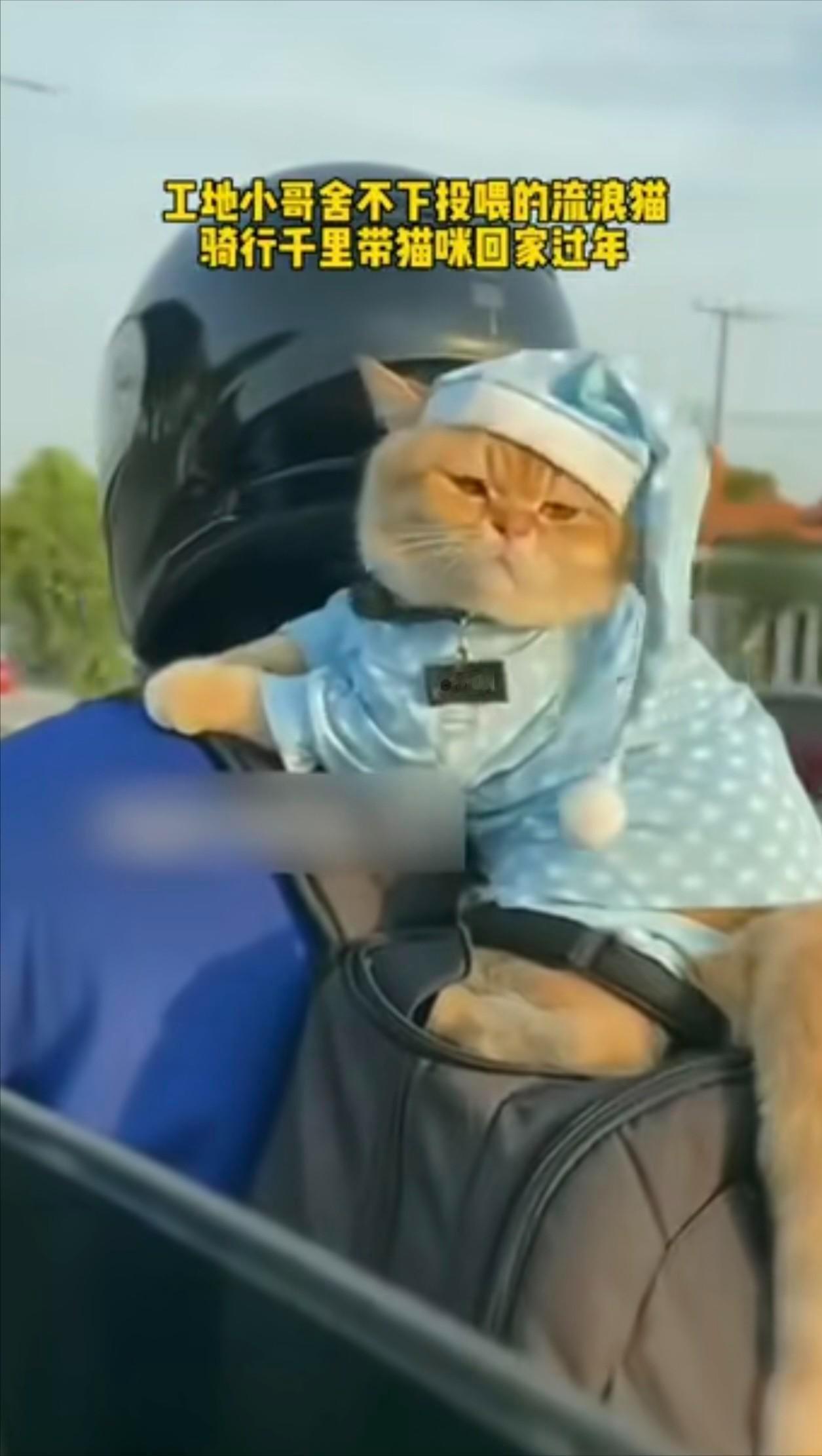 🌞1月18日报道，一男子回家过年时，由于放心不下在工地上喂养的流浪猫，担心