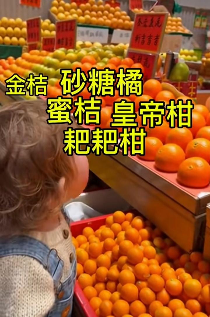 中国的柑橘家族让这个外国小朋友晕了，问她的爸爸，怎么就有这么多的橘子、橙子呢？