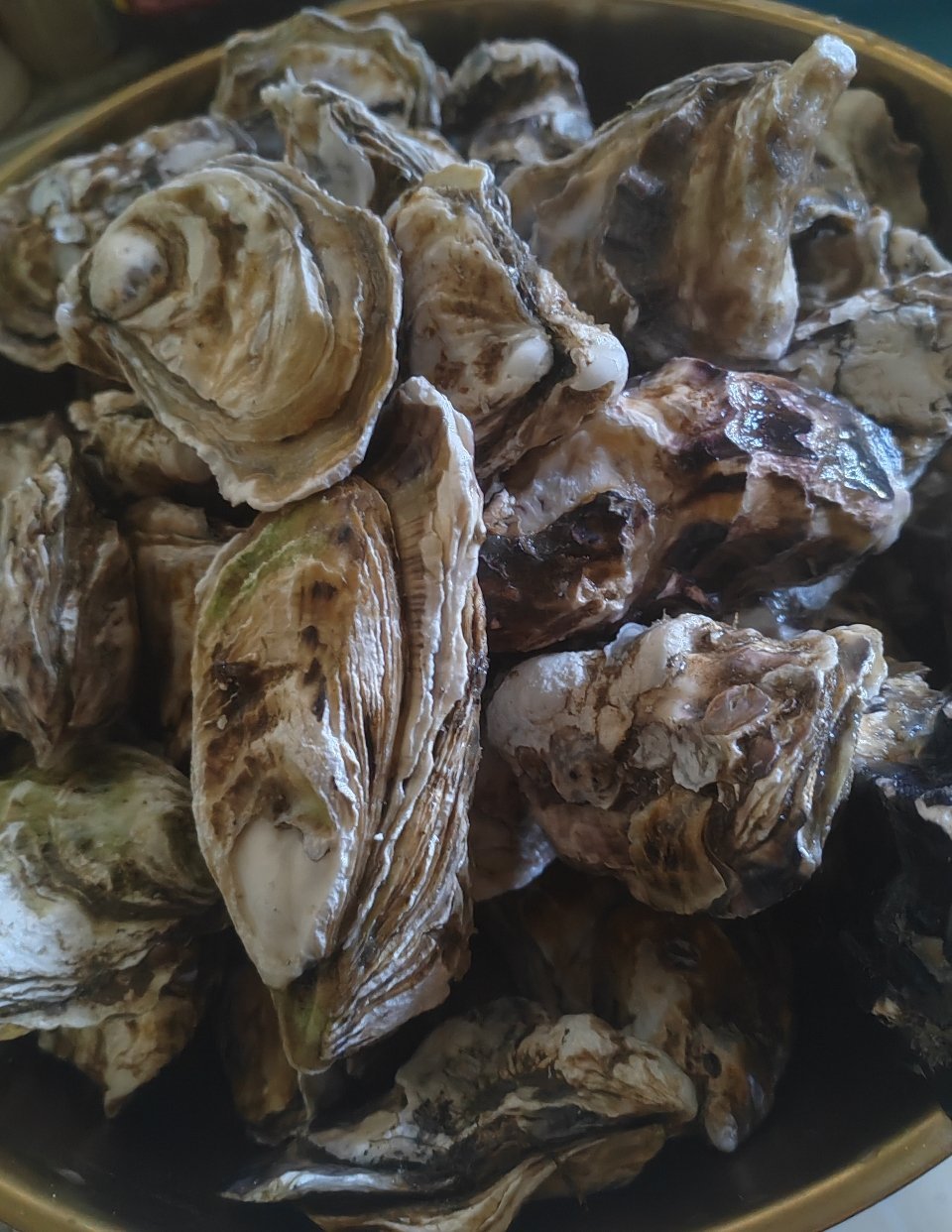 今天中午午餐