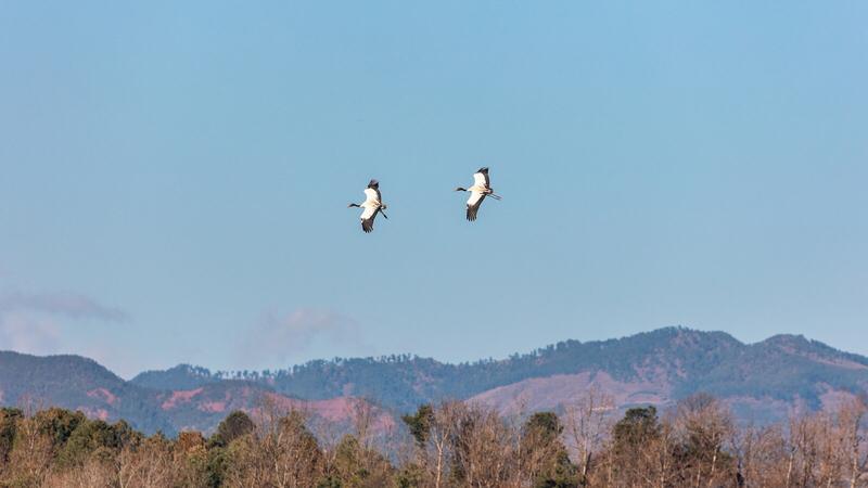 文章美得令人窒息！想象一下，湛蓝的天空宛如被悉心擦拭过，纯净得不见一丝杂质，恰似