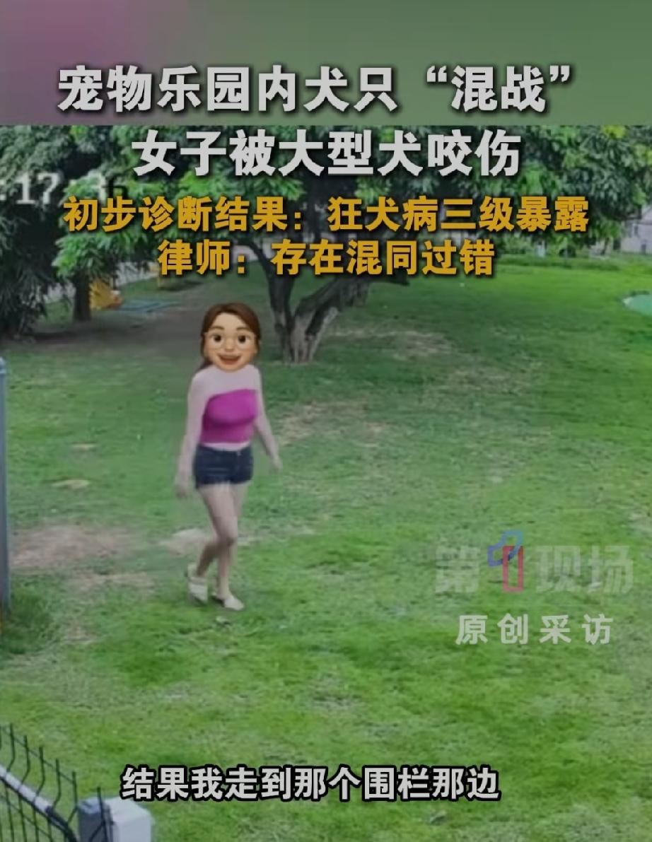 出事了！女子在宠物乐园内被大金毛咬伤，初步诊断结果为狂犬病三级暴露。事情发生在
