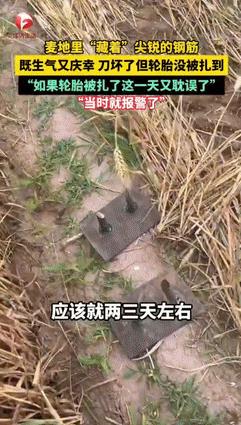 “缺德冒烟了！”河北临漳，一女子开车收割麦田时，突然看到不远处“藏着”两个尖锐的